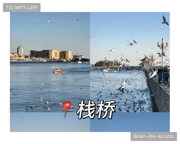 不可抗力中断比赛后,规则如何决定是否重赛或判负? 不可抗力中断比赛后,规则如何决定是否重赛或判负?